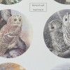 WOC Scenery parelmoer Winter Birds 1 - Round