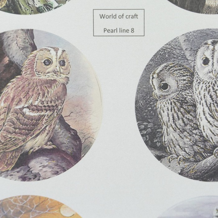 WOC Scenery parelmoer Winter Birds 1 - Round