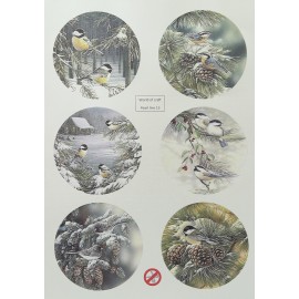 WOC Scenery Winter Owls 1 - Round