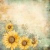 Paperpack - Berries Beauties - Blooming sun 20 x 20 cm