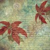 Paperpack - Berries Beauties - Timeless Christmas 20 x 20 cm