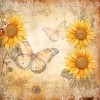 Paperpack - Berries Beauties - Blooming sun 20 x 20 cm