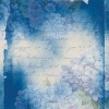 Paperpack - Berries Beauties - Blue Meadow 20 x 20 cm