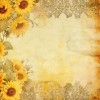 Paperpack - Berries Beauties - Blooming sun 20 x 20 cm