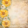 Paperpack - Berries Beauties - Blooming sun 20 x 20 cm