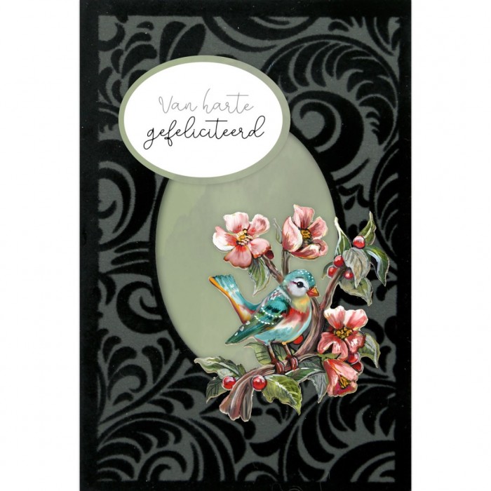 3D Velvet Cards A6- Colorful Birds
