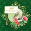 3D Velvet Cards 4K - Garden Classics