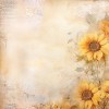 Paperpack - Berries Beauties - Blooming sun 20 x 20 cm
