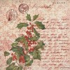 Paperpack - Berries Beauties - Timeless Christmas 20 x 20 cm