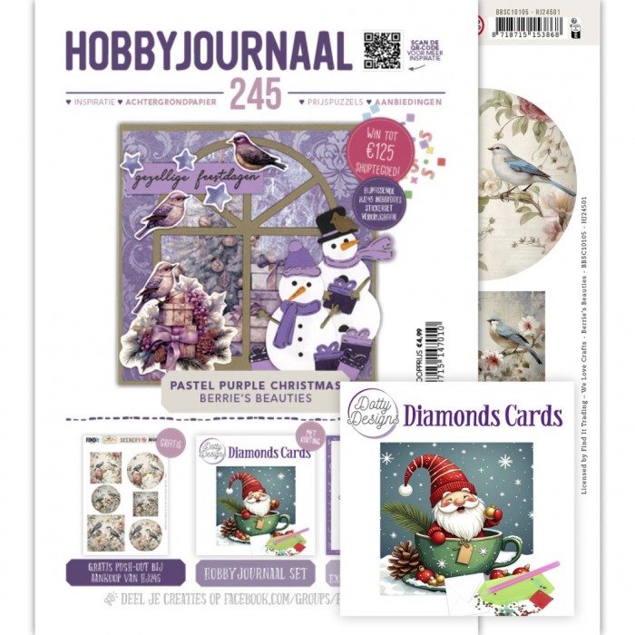 SET Hobbyjournaal 245