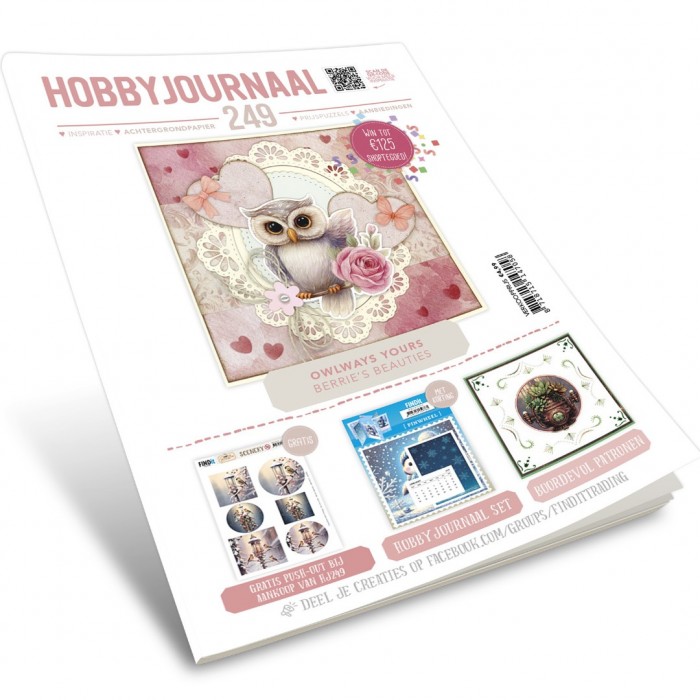 Hobbyjournaal 249