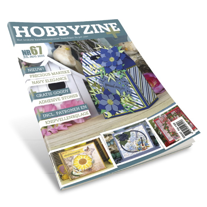 Hobbyzine 67