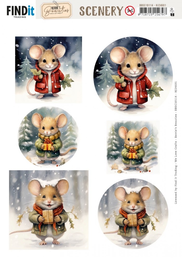SET Hobbyjournaal 246