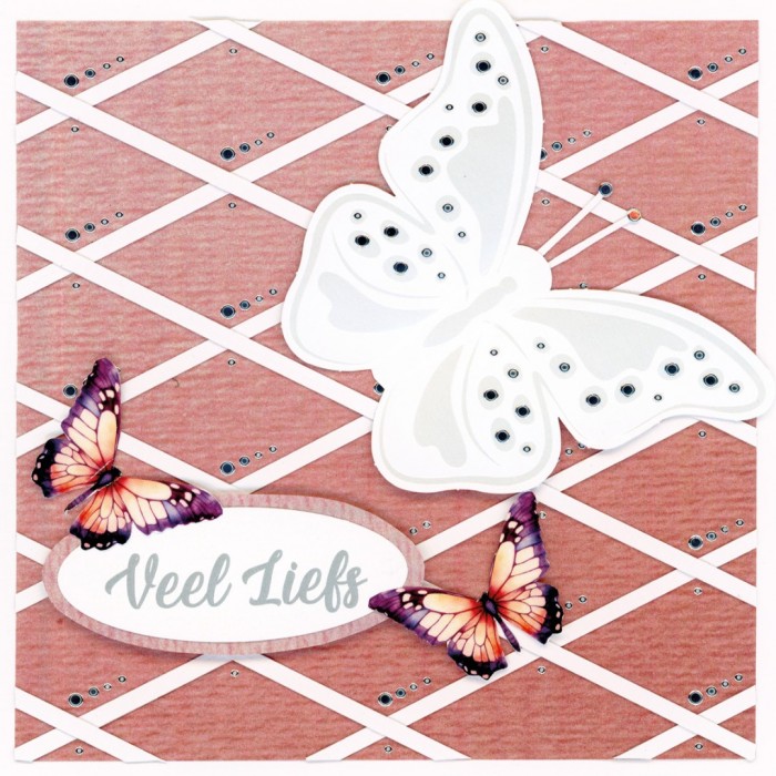 BC4K10001 - Butterfly Cards 1