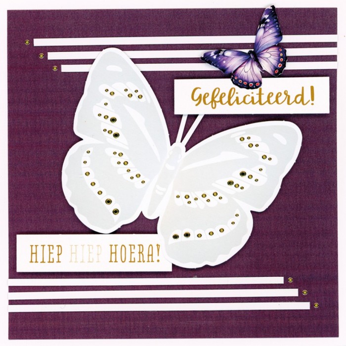 BC4K10002 - Butterfly Cards 2