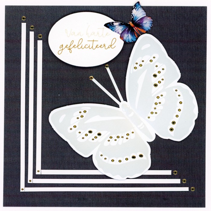 BC4K10002 - Butterfly Cards 2
