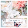 BC4K10003 - Butterfly Cards 3