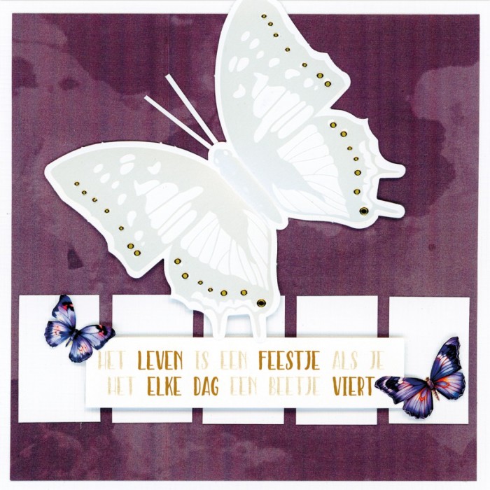 BC4K10004 - Butterfly Cards 4