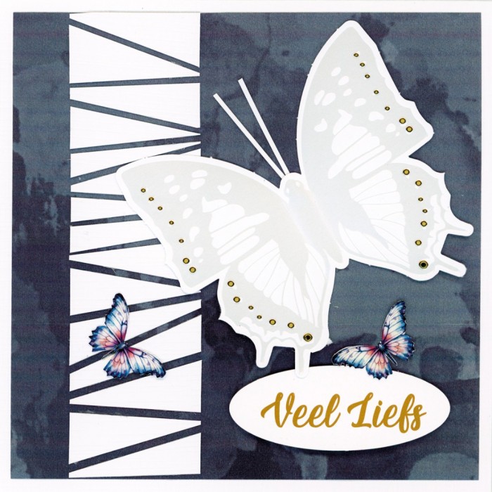 BC4K10004 - Butterfly Cards 4