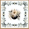 3D Hobbydots Sheet - Berries Beauties - Golden Whisper 2