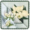 Hobbyjournaal 240
