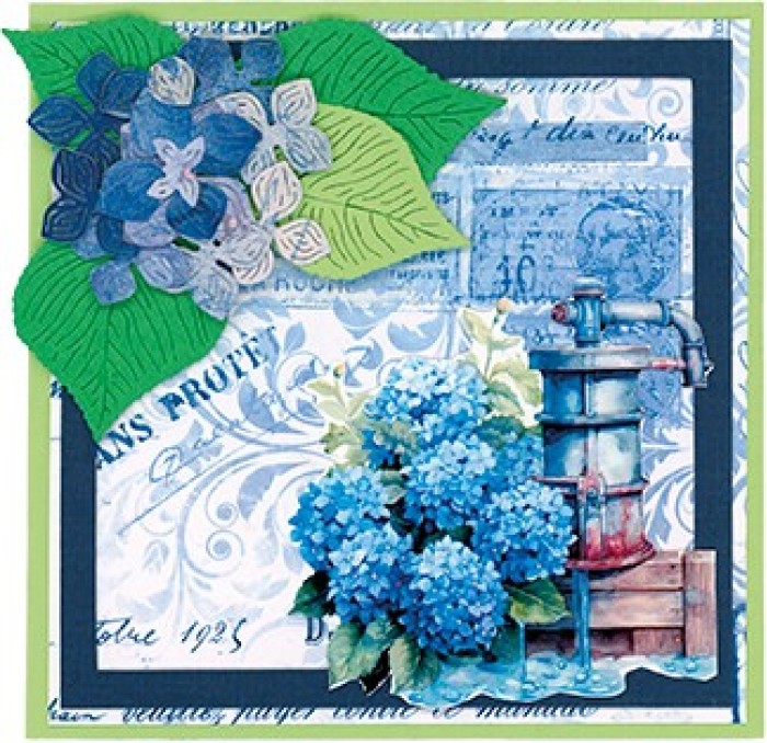Dies - Berries Beauties - Blue Meadow - Blue Hydrangea
