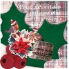 SET Hobbyjournaal 244