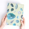 Schetsboek - Schelpen
