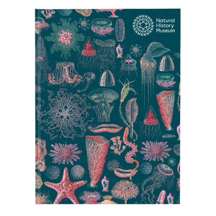 Schetsboek - Onderwater