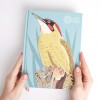 Schetsboek - Specht