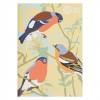 Schetsboek 3-pack - Britse vogels