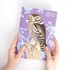 Schetsboek 3-pack - Britse vogels