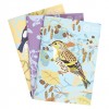 Schetsboek 3-pack - Britse vogels