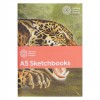 Schetsboek 3-pack - Grote katachtigen