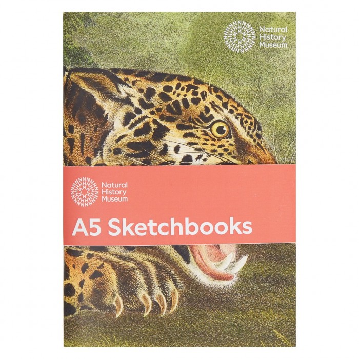 Schetsboek 3-pack - Grote katachtigen