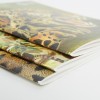Schetsboek 3-pack - Grote katachtigen