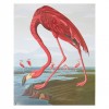Schilderen op nummer - Flamingo