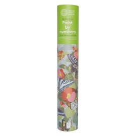 Schilderen op nummer - Vlinders
