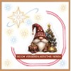 3D Stitch and Do Sheet - Berries Beauties - Gnomie Holidays 1