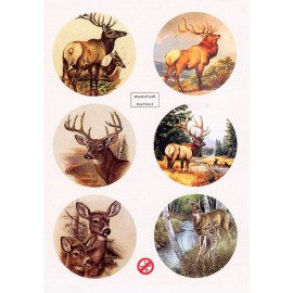 Scenery Parelmoer - WOC - nr04 - Deer - Round