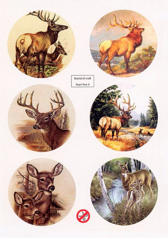 Scenery Parelmoer - WOC - nr04 - Deer - Round