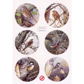 Scenery Parelmoer - WOC - nr25 - Birds - Round
