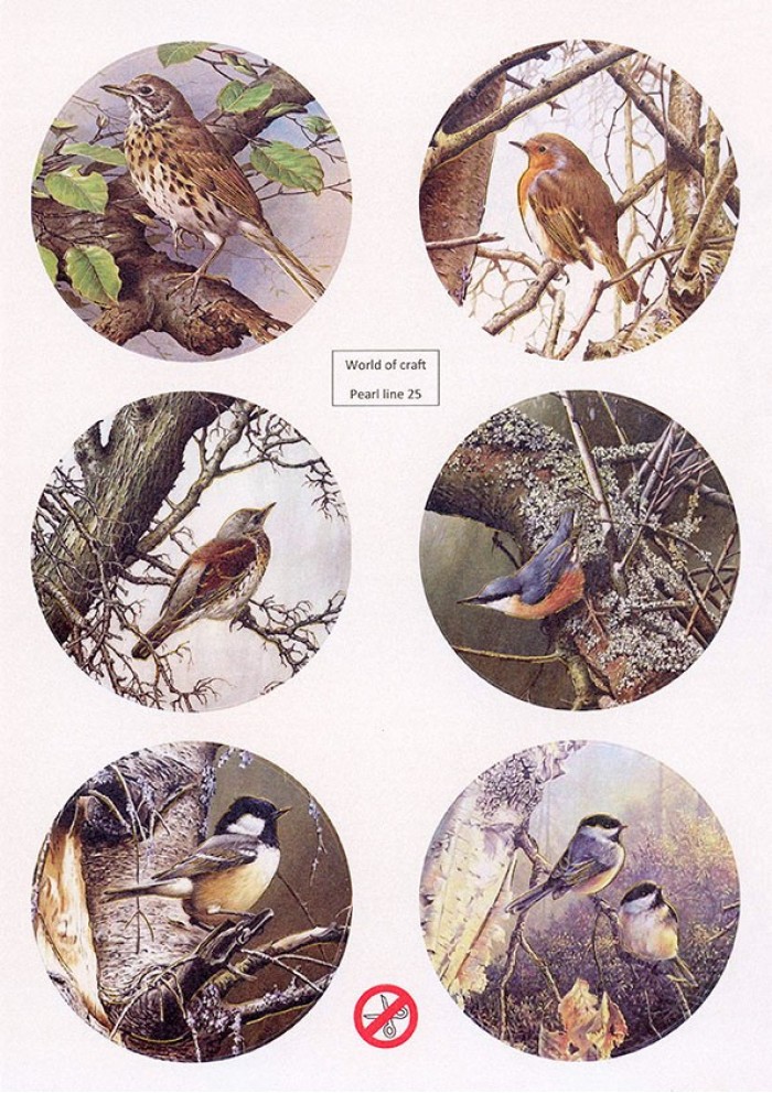 Scenery Parelmoer - WOC - nr25 - Birds - Round