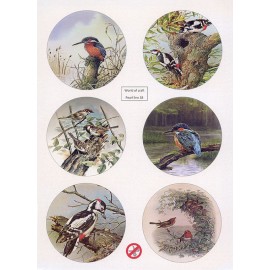 Scenery Parelmoer - WOC - nr38 - Birds - Round