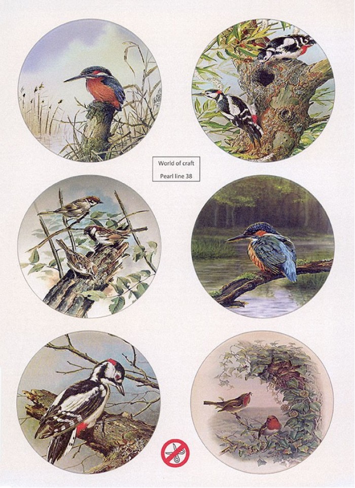 Scenery Parelmoer - WOC - nr38 - Birds - Round