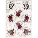 Cutting Sheet - WOC - nr 06 - Roses