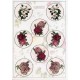 Cutting Sheet - WOC - nr 06 - Roses