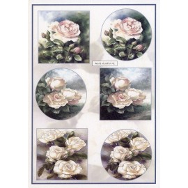 Cutting Sheet - WOC - nr 41 - Roses