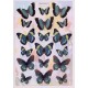 Cutting Sheet - WOC - nr 03 - Blue Butterflies