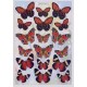 Cutting Sheet - WOC - nr 04 - Red Butterflies